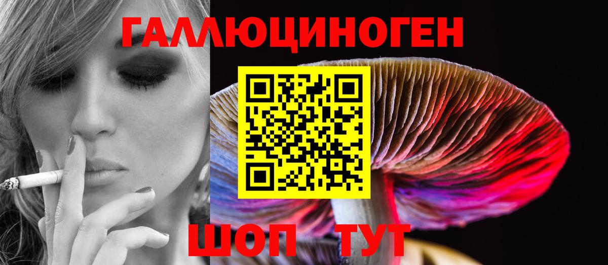 Галлюциногенные грибы Psilocybine cubensis Коломна